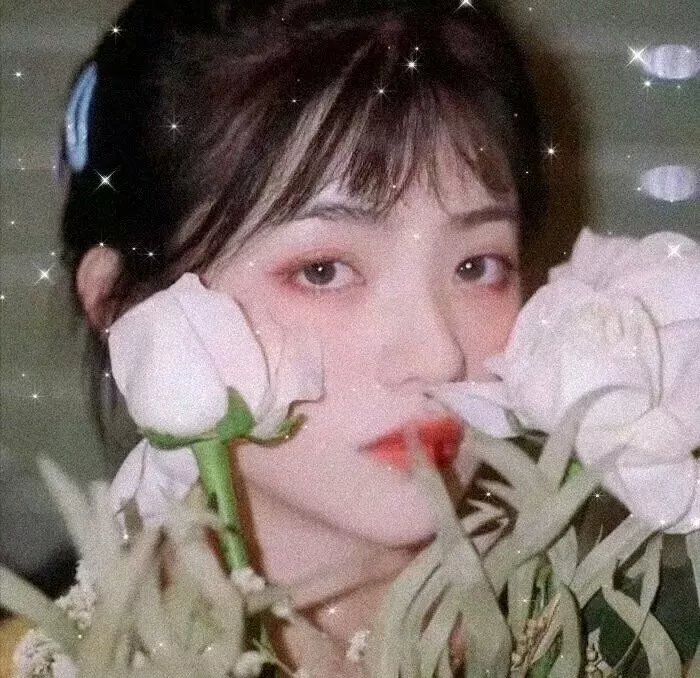 灵异侦缉档案